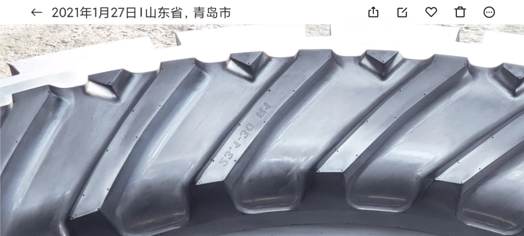 Hot Selling Agricultural Tyre Mould Rubber Mould