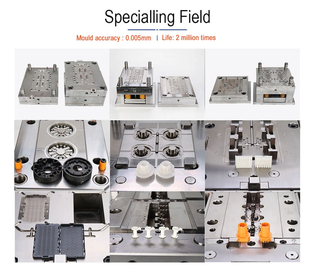 High-Performance PFA High Precision Plastic Injection Mold Molding for Filter Housing